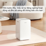 Máy hút ẩm Xiaomi New Widetech 10L